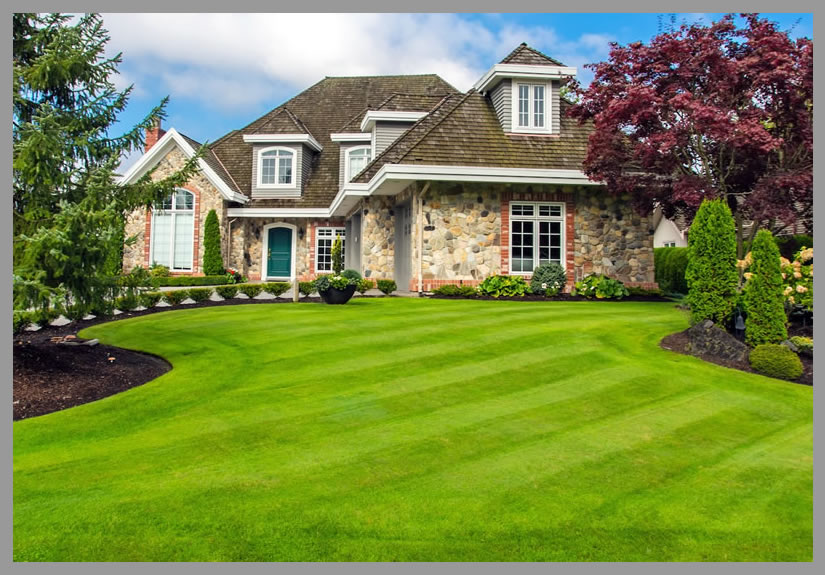 lawn maintenance Edwardsville Lawn Care Company Metro East